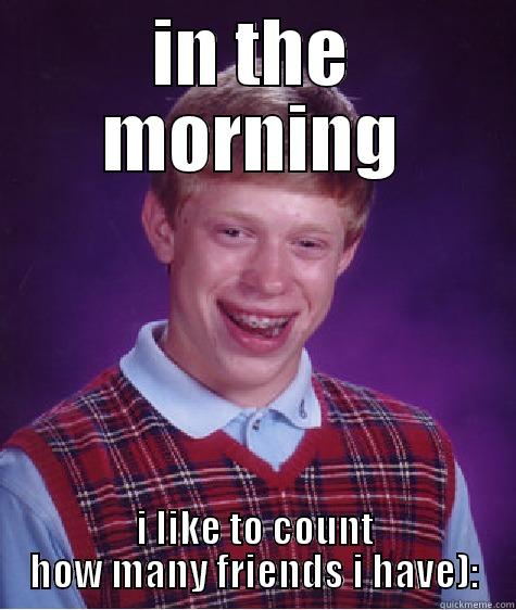 IN THE MORNING I LIKE TO COUNT HOW MANY FRIENDS I HAVE): Bad Luck Brian