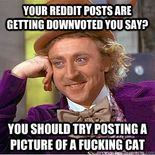 Your reddit posts are getting downvoted you say? You should try posting a picture of a fucking cat  Condescending Wonka