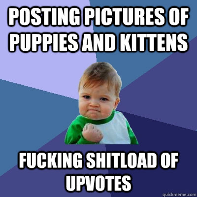 posting Pictures of puppies and kittens fucking shitload of upvotes  Success Kid