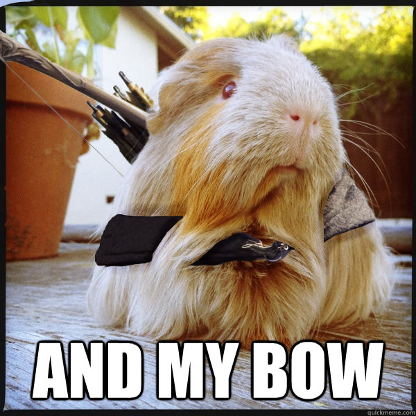  And my bow  Legolas Guinea Pig