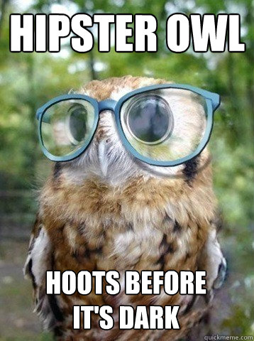 Hipster owl hoots before it's dark  