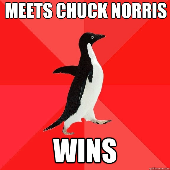 Meets Chuck Norris wins  Socially Awesome Penguin