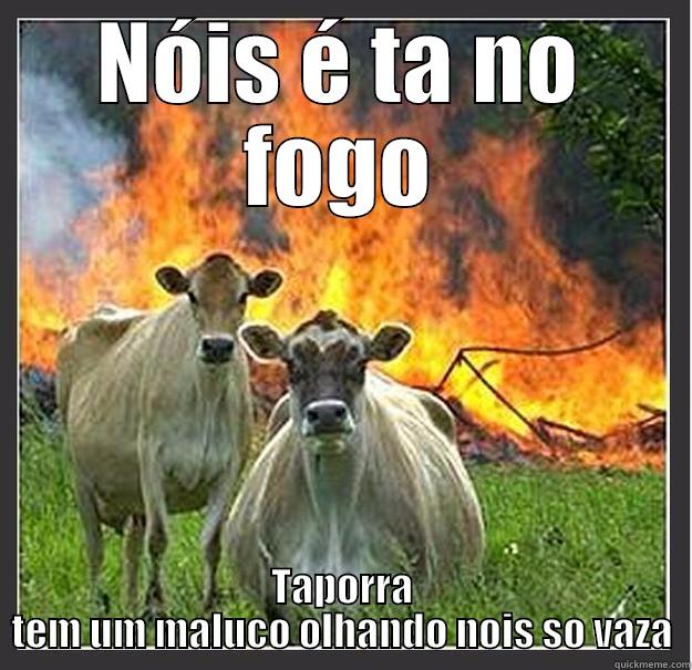 NÓIS É TA NO FOGO TAPORRA TEM UM MALUCO OLHANDO NOIS SO VAZA Evil cows