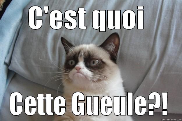 Oh Shit! - C'EST QUOI  CETTE GUEULE?! Grumpy Cat