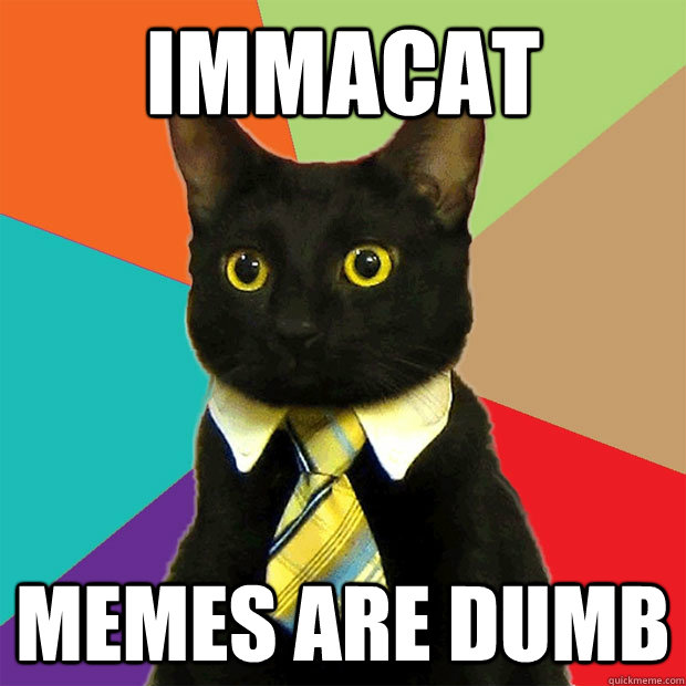 immacat memes are dumb  Business Cat