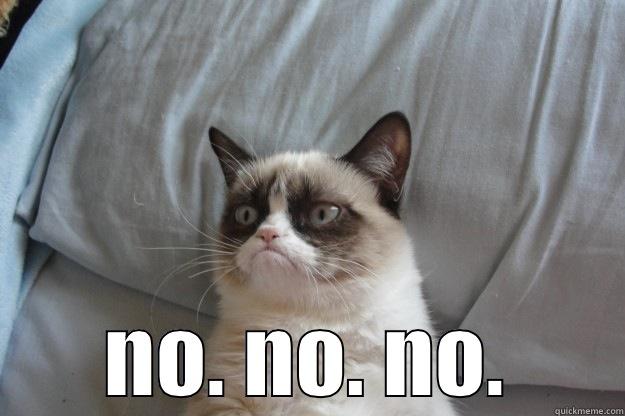 grumpy cat -  NO. NO. NO. Grumpy Cat