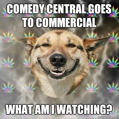 Comedy central goes to commercial  What am I watching?  Stoner Dog