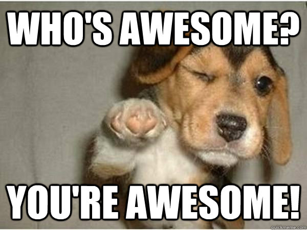 who's awesome? you're awesome!  Jay-Beagle