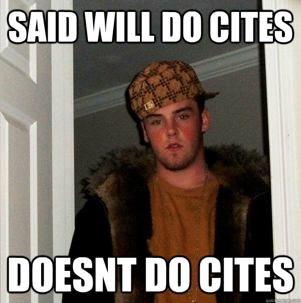 Said will do cites Doesnt do cites   Scumbag Steve