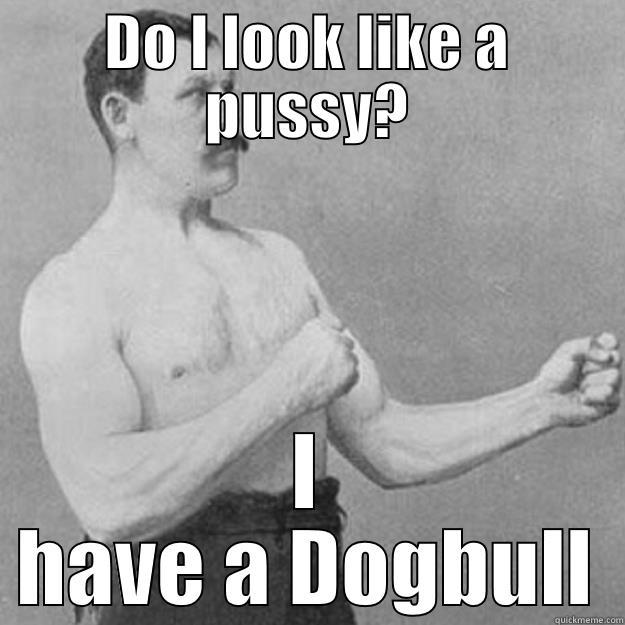 DO I LOOK LIKE A PUSSY? I HAVE A DOGBULL overly manly man