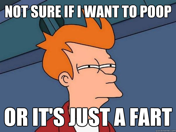 Not sure if I want to poop Or it's just a fart  Futurama Fry