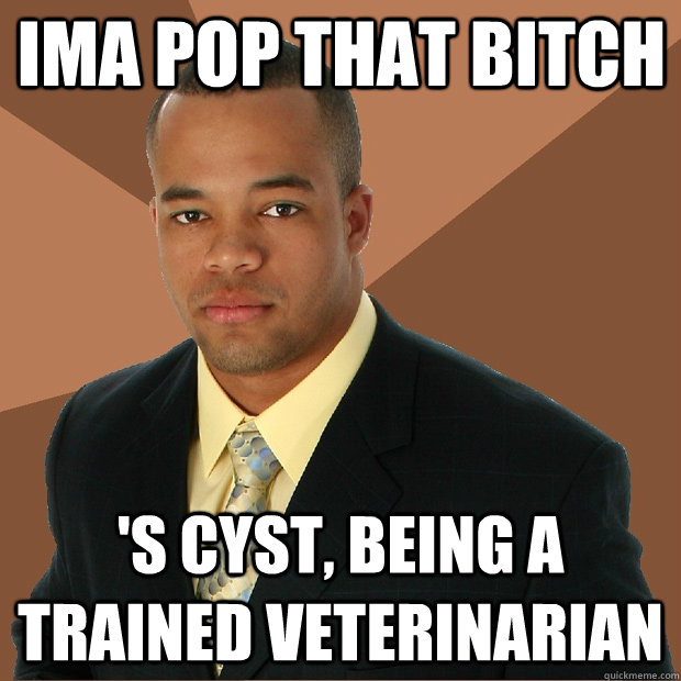 Ima pop that bitch 's cyst, being a trained veterinarian  - Ima pop that bitch 's cyst, being a trained veterinarian   Successful Black Man