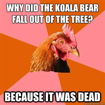 why did the koala bear fall out of the tree? because it was dead  Anti-Joke Chicken