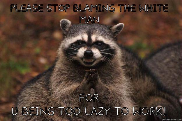 PLEASE STOP BLAMING THE WHITE MAN FOR U BEING TOO LAZY TO WORK! Evil Plotting Raccoon