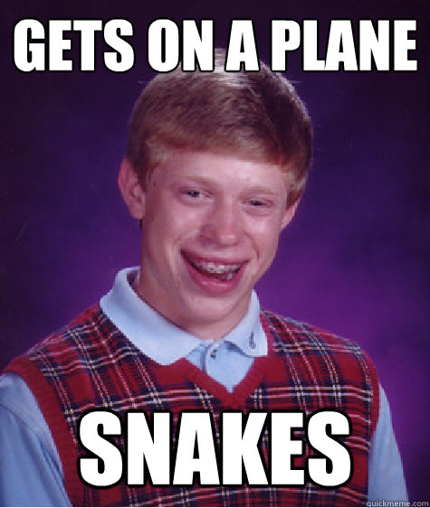 gets on a plane snakes  Bad Luck Brian