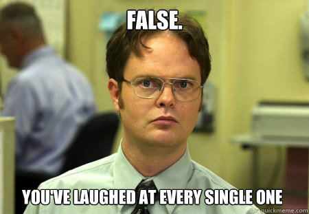 false. you've laughed at every single one  Dwight