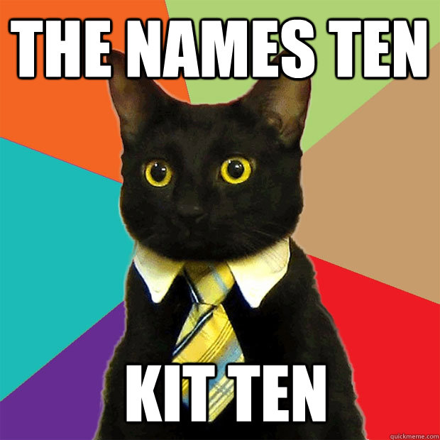 The names Ten  Kit ten  Business Cat