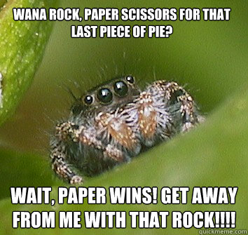 Wana rock, paper scissors for that last piece of pie? Wait, paper wins! get away from me with that rock!!!!  Misunderstood Spider