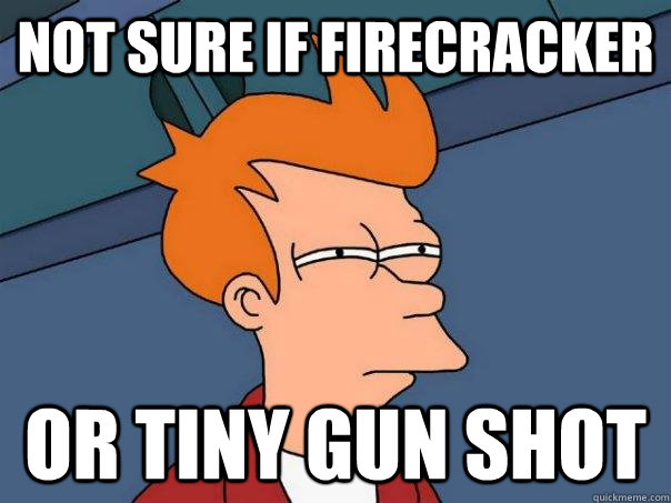 Not sure if firecracker Or tiny gun shot  Futurama Fry