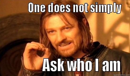            ONE DOES NOT SIMPLY               ASK WHO I AM Boromir