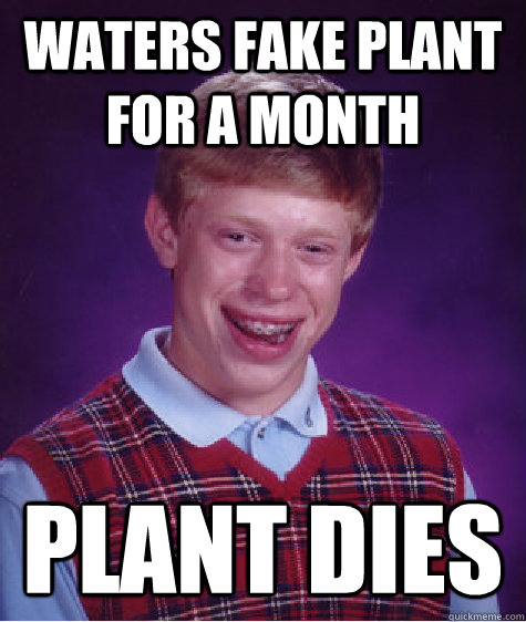 Waters fake plant for a month Plant dies  Bad Luck Brian