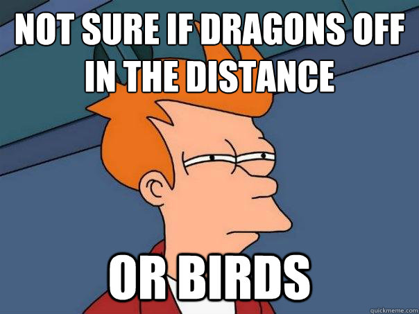 Not sure if dragons off in the distance or birds  Futurama Fry