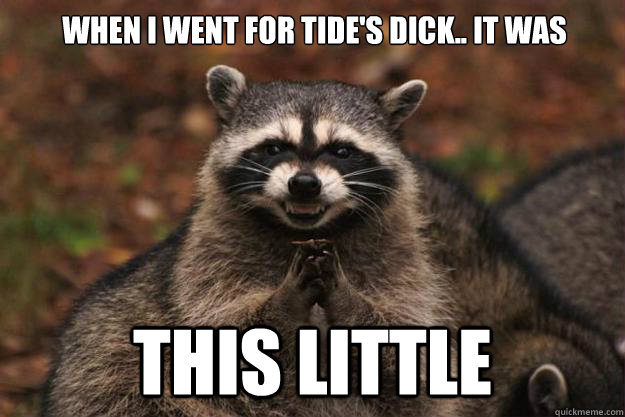 When I went for Tide's dick.. It was This little - When I went for Tide's dick.. It was This little  Evil Plotting Raccoon