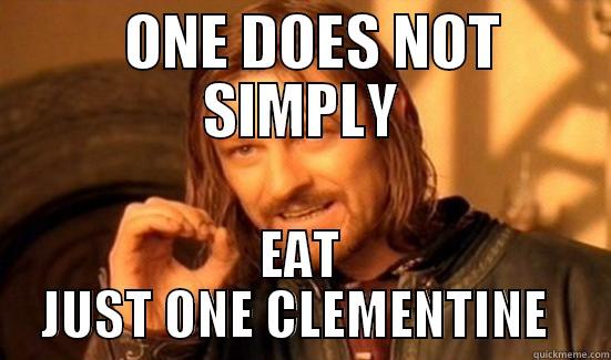   ONE DOES NOT SIMPLY EAT JUST ONE CLEMENTINE  Boromir