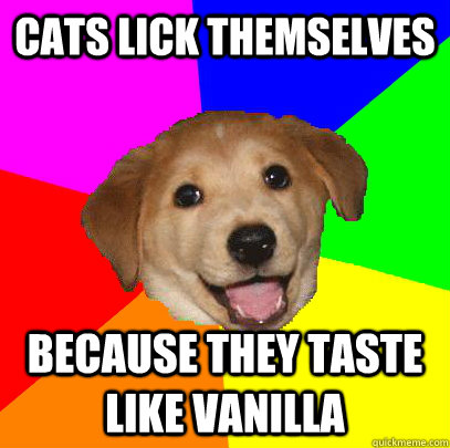 Cats lick themselves Because they taste like vanilla  Advice Dog