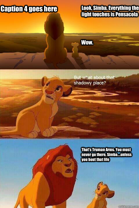 Look, Simba. Everything the light touches is Pensacola Wow. That's Truman Arms. You must never go there, Simba....unless you bout that life Caption 4 goes here  Lion King Shadowy Place