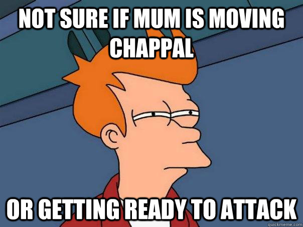 Not sure if mum is moving chappal Or getting ready to attack  Futurama Fry