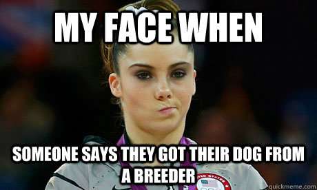 My face when someone says they got their dog from a breeder - My face when someone says they got their dog from a breeder  myfacewhen