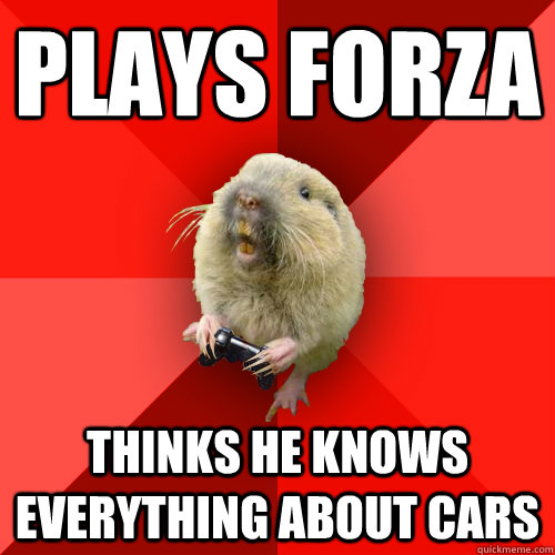 Plays Forza Thinks he knows everything about cars  Gaming Gopher