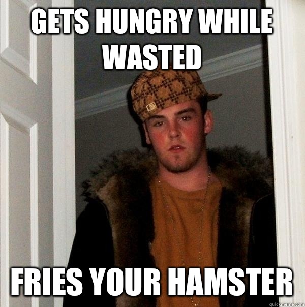 Gets hungry while wasted Fries your hamster  Scumbag Steve