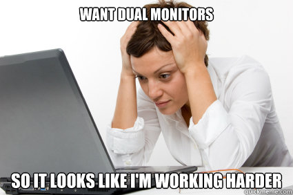 Want dual monitors So it looks like I'm working harder  Frustrating Computer User