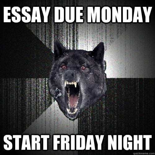 essay due monday start friday night  Insanity Wolf