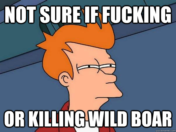 not sure if fucking or killing wild boar  Futurama Fry