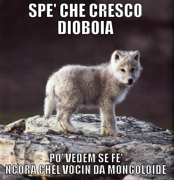 SPE' CHE CRESCO DIOBOIA PO' VEDEM SE FE' NCORA CHEL VOCIN DA MONGOLOIDE Misc