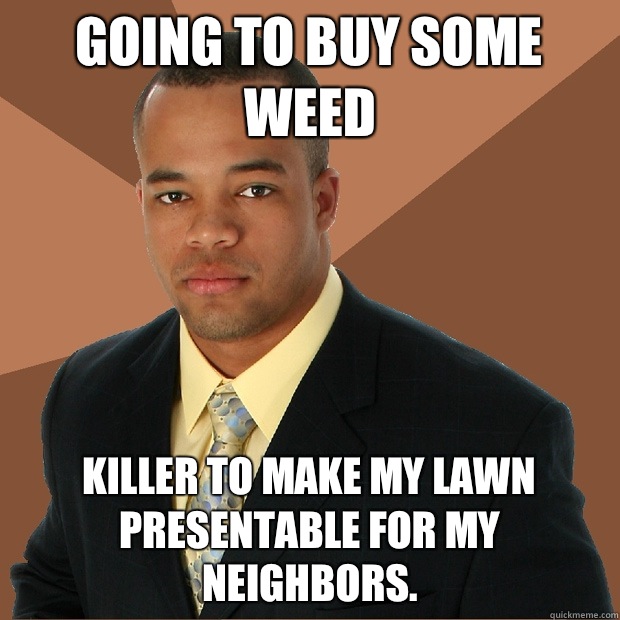 Going to buy some weed Killer to make my lawn presentable for my neighbors.  Successful Black Man