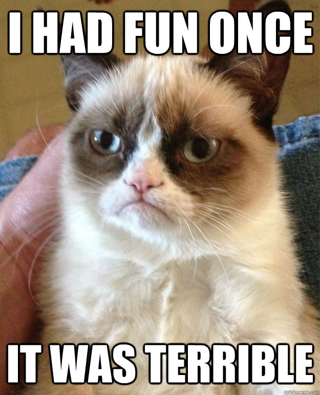 I had fun once IT WAS Terrible  Grumpy Cat