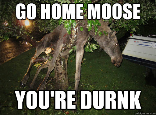 Go home moose you're durnk  Go home moose youre drunk