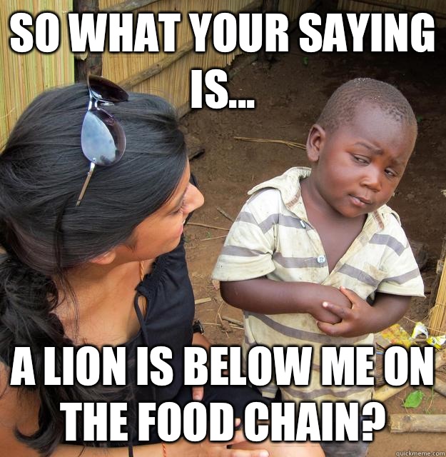 So what your saying is... A lion is below me on the food chain? - So what your saying is... A lion is below me on the food chain?  Skeptical Third World Kid