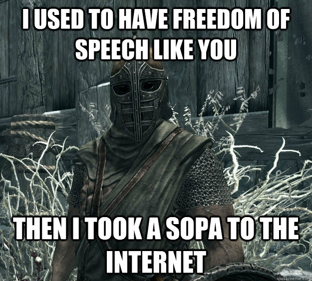 I used to have freedom of speech like you Then I took a SOPA to the internet  Skyrim Guard