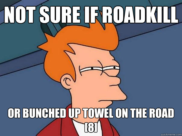 not sure if roadkill   or bunched up towel on the road [8] - not sure if roadkill   or bunched up towel on the road [8]  Futurama Fry