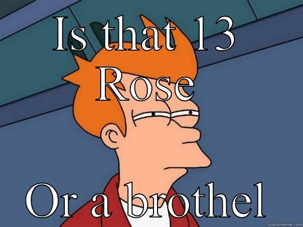 IS THAT 13 ROSE OR A BROTHEL Futurama Fry