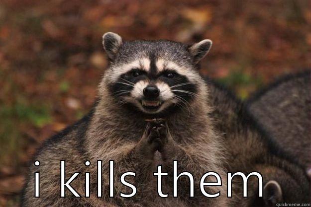 oh, they made you come into work afterall? -  I KILLS THEM Evil Plotting Raccoon