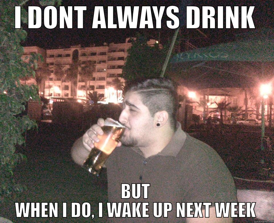 I DONT ALWAYS DRINK BUT WHEN I DO, I WAKE UP NEXT WEEK Misc