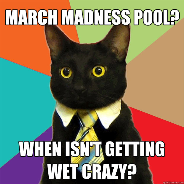 March Madness pool? When isn't getting wet crazy?  Business Cat