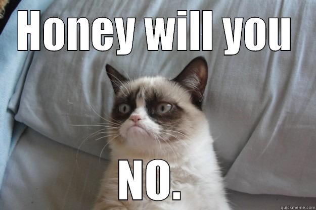 Honey will you - HONEY WILL YOU NO.  Grumpy Cat