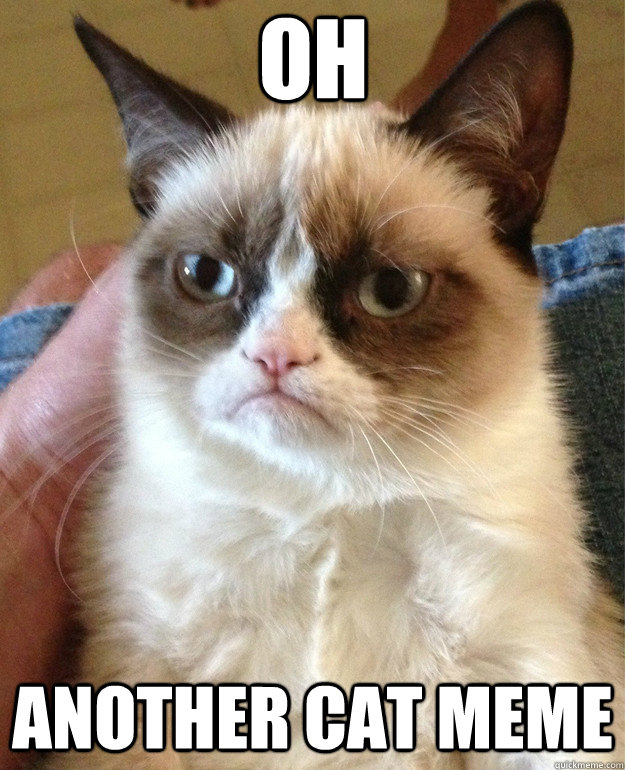 Oh Another cat meme  Grumpy Cat